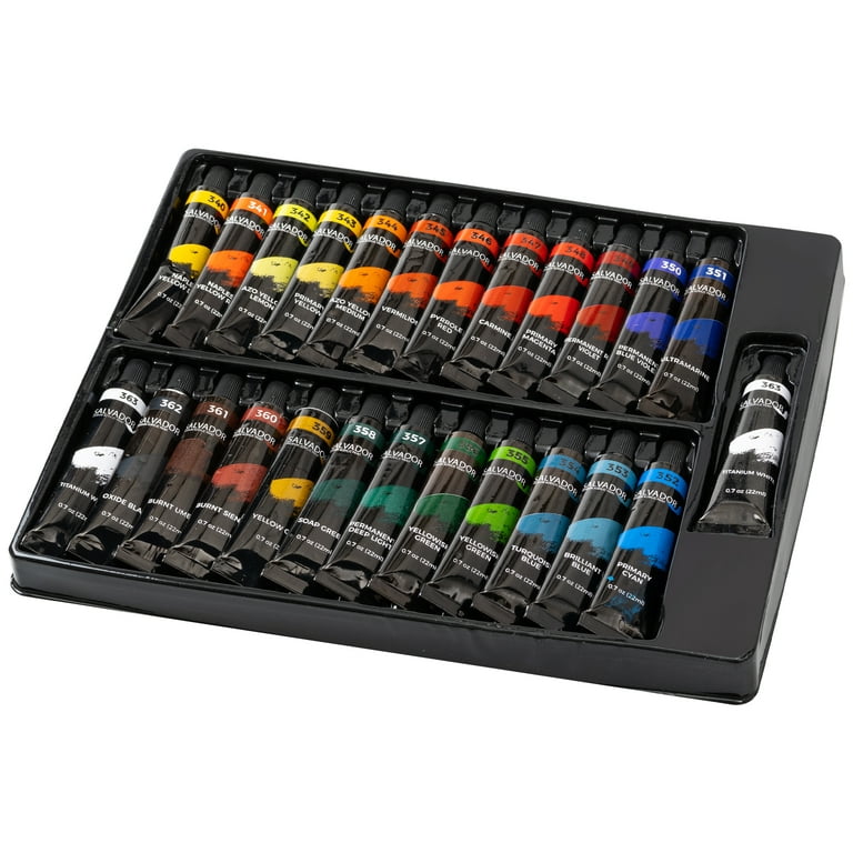 Salvador Acrylic Paint Set - 24 Colors (22ml/Tube), Professional Painting  Set Arts Crafts Supplies for Adults Kids