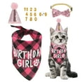 thumbnail image 1 of Decoraciones de Cumpleaños para Gatos Unique Bargains Sombrero y Bandana para Gatos, 1 of 7