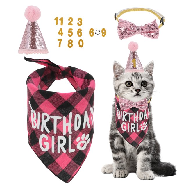 Decoraciones de Cumpleaños para Gatos Unique Bargains Sombrero y Bandana para Gatos