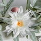 thumbnail image 5 of Adornos colgantes de hojas de Pascua | Guirnalda de follaje artificial con hojas sintéticas | Decoración festiva para puertas y paredes, 5 of 9