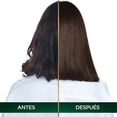 thumbnail image 4 of Tinte para cabello Nutrisse Oleos sin amoniaco 5.31 castaño dorado cenizo, 4 of 6