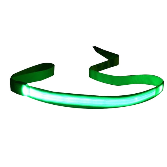 LED Dogs Leash Strong Pet Leash Rope for Outdoor Walking Glowing Traction Rope Small Medium Dog Lead Leash Pet Supplies