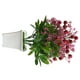 thumbnail image 3 of Flor artificial Bonsai Plástico Planta falsa Maceta Simulación en el hogar Decoración de flores en maceta eigraketly HA8734-00B, 3 of 6