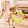 thumbnail image 4 of Greeniant Anillo de entrenamiento para morder, animales de interior para exteriores, juguetes voladores de EVA, mordedor, mascotas grandes y pequeñas, Suministros para perros Verde Greeniant PT003590-03, 4 of 6
