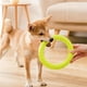 thumbnail image 4 of Greeniant Anillo de entrenamiento para morder, animales de interior para exteriores, juguetes voladores de EVA, mordedor, mascotas grandes y pequeñas, Suministros para perros Verde Greeniant PT003590-03, 4 of 6