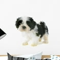 thumbnail image 1 of Puppy Shitzu Wall Mural Decal by Wallmonkeys Vinyl Peel and Stick Graphic (18 in W x 16 in H), 1 of 4