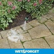 Wet & Forget Outdoor Moss, Mold, Mildew, and Algae Stain Remover Concentrate, 128 oz
