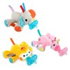 Bright Starts Cozy Coos Pacifier