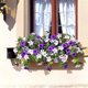 thumbnail image 5 of Flores artificiales colgantes con cesta para decoración exterior, 5 of 9