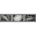 thumbnail image 2 of Leaf Types Triptych, 2 of 5