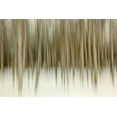 thumbnail image 2 of Malvin, Larry 32x23 White Modern Wood Framed Museum Art Print Titled - Birch Blur II, 2 of 4