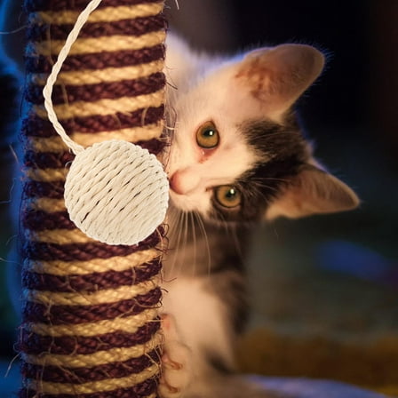 PBPBOX Sisal Balls Cat Toy Ball Beige 1Pcs 10.2X1.6X1.6In