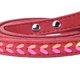 thumbnail image 4 of La correa colorida del perro del animal doméstico de la lleva caminar Red M Sunnimix Cuerda para correa de perro, 4 of 8