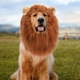 thumbnail image 3 of Gustave Lion Mane Costume for Dog Realistic Funny Adjustable Lion Costume Wig with Ears for Medium Large Dog, Halloween Christmas Cosplay Party Pet Dress Up Hat "Brown", 3 of 8