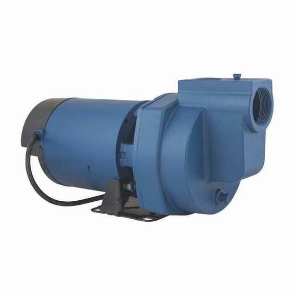 Flint & Walling Sprinkler Pump,Thermo Plastic,1 HP SP10P1