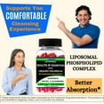thumbnail image 6 of Nikoni Liposomal Clinoptilolite Zeolite, Charcoal and Organic Chlorella Supports Detox 240 Vegan Softgels, 6 of 10