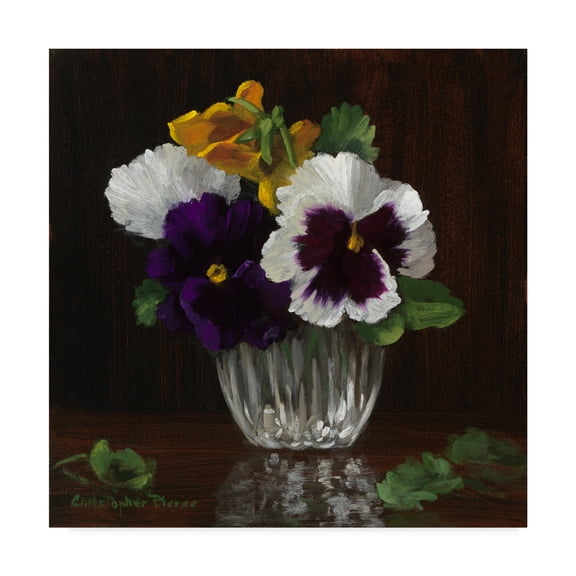 Trademark Fine Art 'Four Pansies' Canvas Art by Christopher Pierce