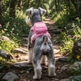 thumbnail image 4 of 2‑in‑1 Dog Harness Backpack With Leash, Reflective Adjustable Anti‑Pull Vest With Storage Pouch, Breathable Outdoor Walking Gear For Small Dogs, 4 of 7