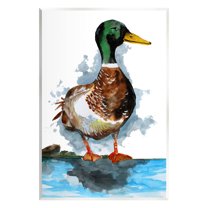 Mallard Duck Water's Edge Animals & Insects Graphic Art Unframed Art Print Wall Art