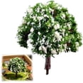 thumbnail image 2 of Mixed Miniature Model Trees, Fairy Garden Trees Set for Diorama, Architecture, Train Scenery for Handcrafts, Small Dollhouse Pots Decor Moss Craft Garden Ornament, Diorama Landscape Accessories, 2 of 3