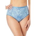thumbnail image 3 of Catherines Plus Size Full Coverage Microfiber Panty 3-Pack, 3 of 6