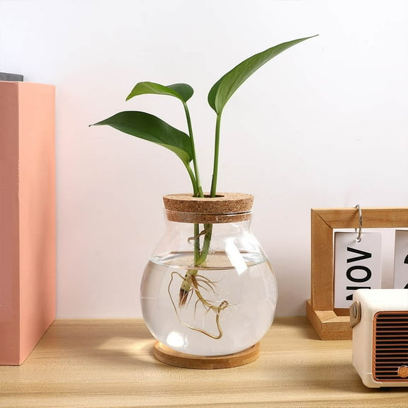 FRCOLOR Small Fish Bowl With Wood Lid Hydroponic Glass Fish Tank For Betta Fish Mini Aquarium For Desktop Clear Glass Terrarium Bowl For Home And Office Decoration