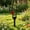 A, variant on Metal Cross Memorial Stake with Red Rose, Cemetery Grave Marker for Mom Dad Sister