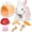 White Rabbit, variant on Sunforu Pet Care Play Set,Little Plush Brown Teddy Dog Grooming Toys with Puppy Carrier Feeding Dog Educational Toys for Toddler Kids