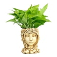 thumbnail image 4 of Creative Resin Plant Succulent Flowerpot Ornaments, 4 of 7