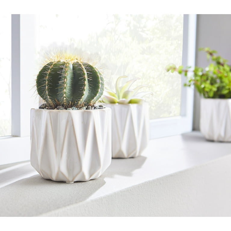 terrarium for air plants Glass Globe Air Plant Terrarium Kit main image 1