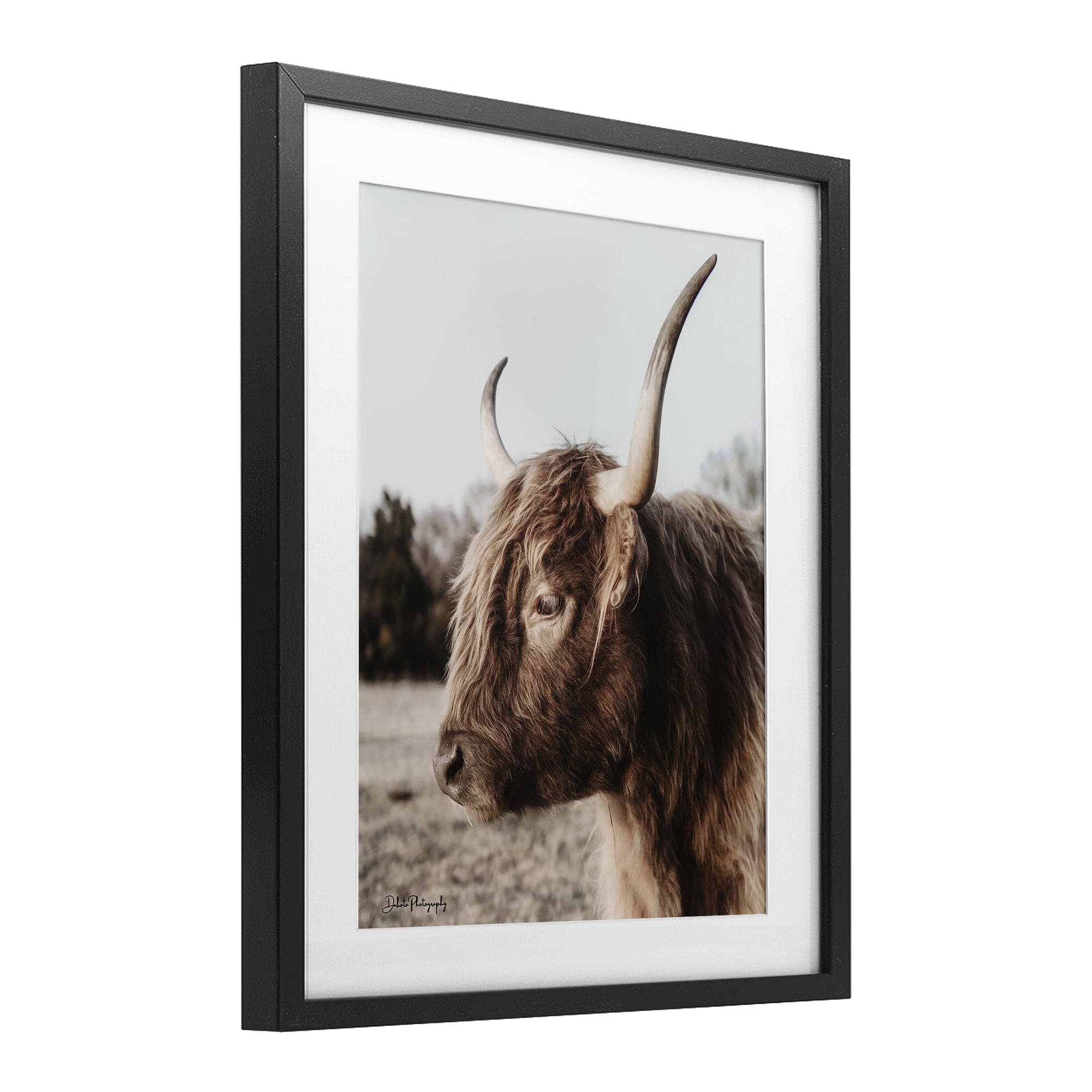 Stupell Industries Horned Cattle Peering Black Framed Print Under Glass, design by Dakota Diener