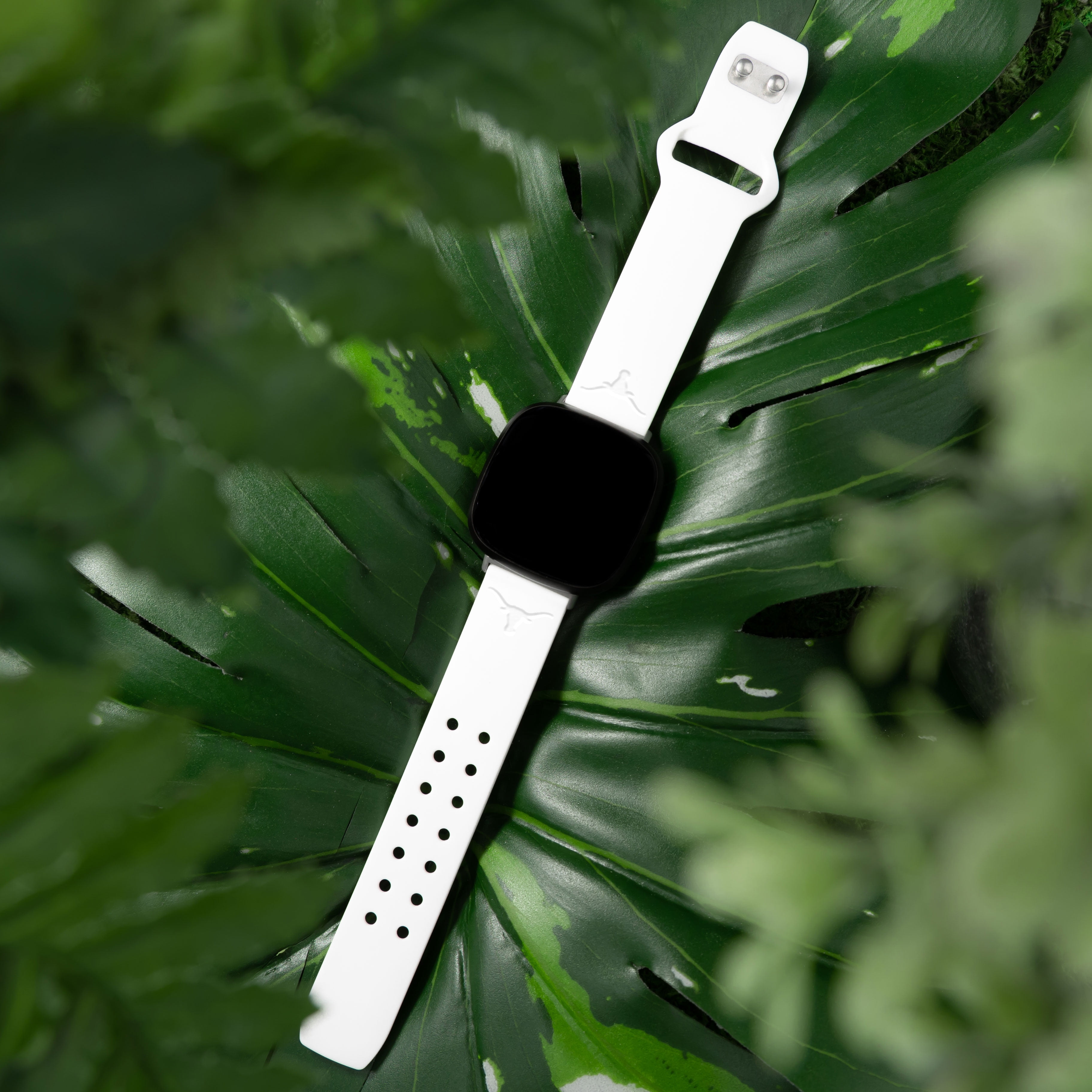 Longhorns Engraved Silicone Unisex Watch Band for Fitbit Versa 3 and Sense (White) by Affinity Bands