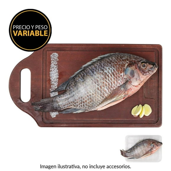 Mojarra tilapia por charola peso por kg