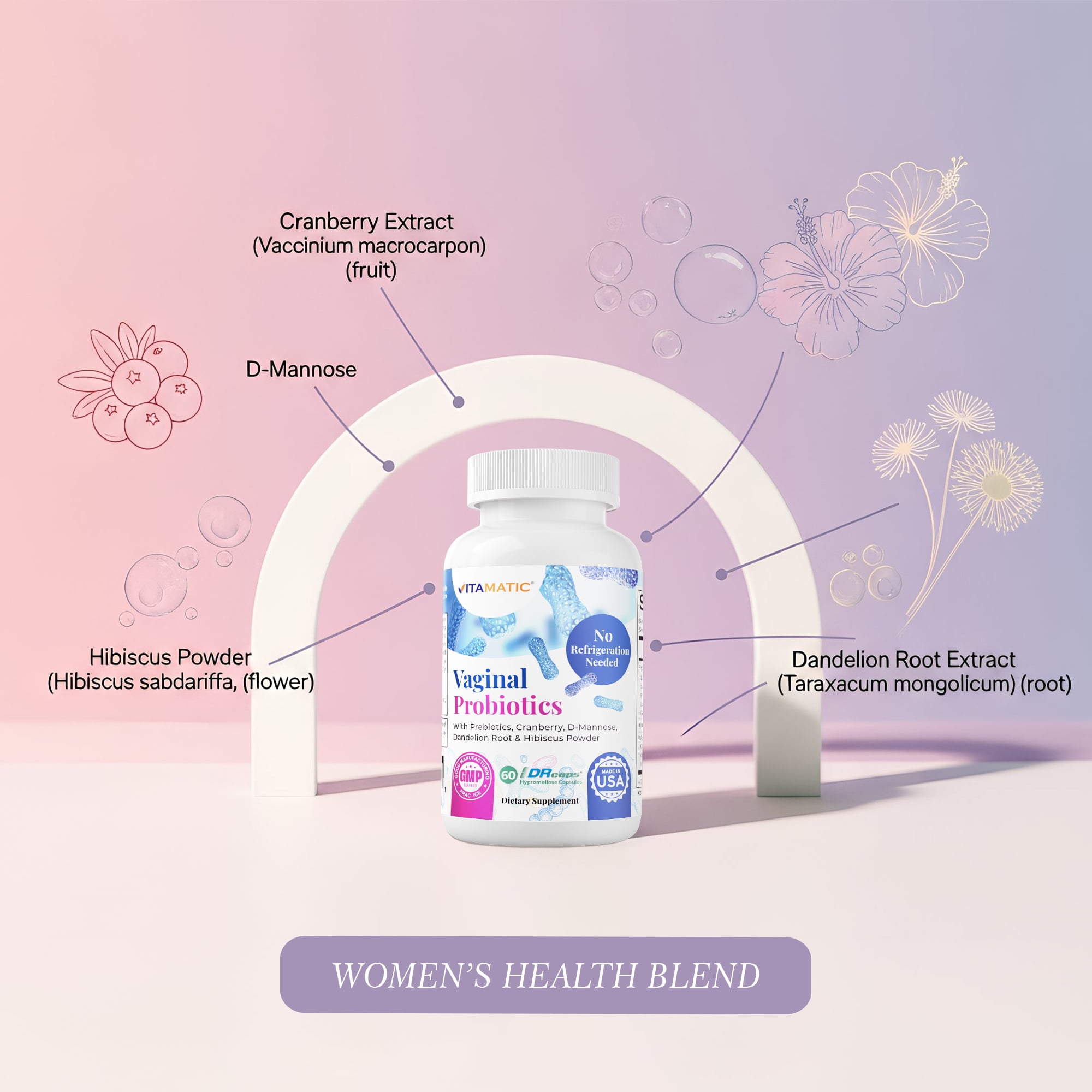 (3 pack) Vitamatic Vaginal Probiotics 20 Billions for Women pH Balance & Odor Control with Prebiotics & Probiotics 60 DR Capsules - Made with Cranberry, D-Mannose, Hibisucs & Dandelion