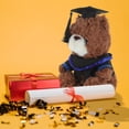 thumbnail image 1 of Raindrops 1Pack Soft Fluffy Doll in Blue Striped for Home and Graduation Decorations, 1 of 6