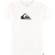 thumbnail image 1 of Camiseta gráfica con logotipo de Quiksilver para hombre, blanca, grande Quiksilver  Camiseta gráfica, 1 of 1
