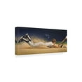 thumbnail image 2 of Trademark Fine Art 'Baseball Player' Canvas Art by Dan Craig, 2 of 3