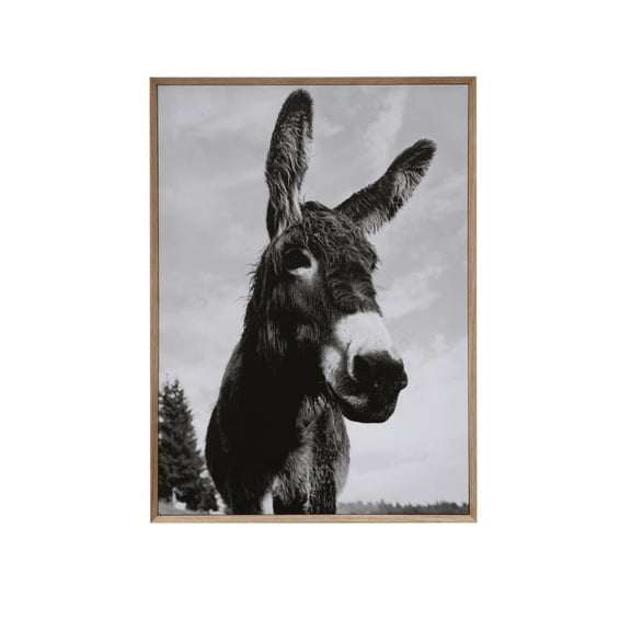 Creative Co-Op Donkey Photo Wood Framed Canvas Wall Decor Portrait, Black and Grey