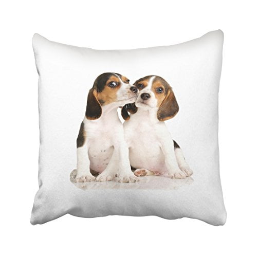 18x18 Funny dog family outfits Every Snack You Make Dog Treeing Walker Coonhound Vintage Throw Pillow Multicolor 