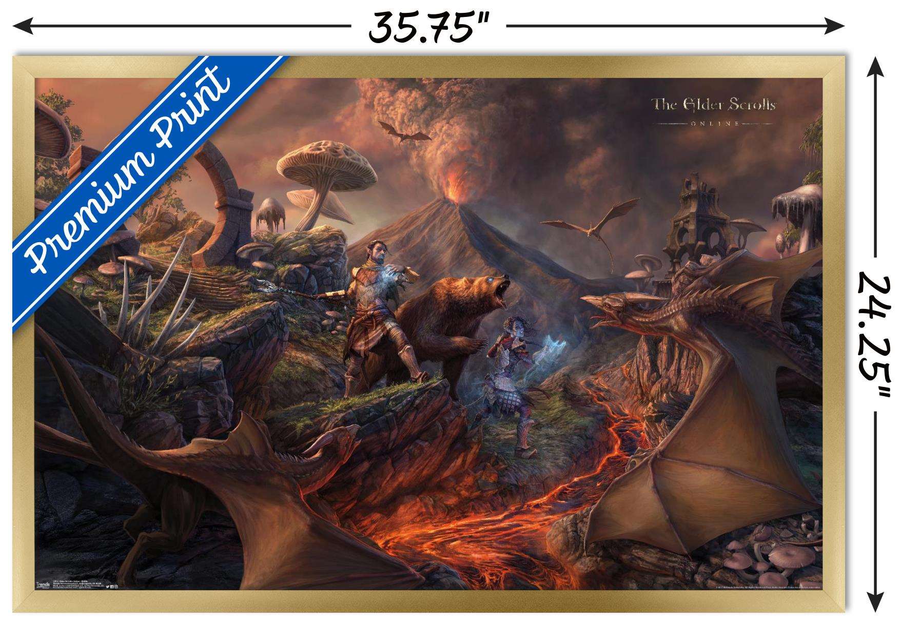 The Elder Scrolls: Online - Battle Wall Poster, 14.725