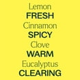 thumbnail image 4 of Plant Therapy Germ Fighter Essential Oil Blend 100% Pure, Undiluted, Natural Aromatherapy 100 mL (3.3 fl oz), 4 of 9