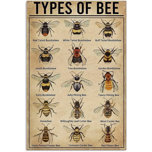 Retro Bee Metal Tin Sign Wall Decor, 8 x 12 Inch Vintage Garden Kitchen Bar Cafe Farm Iron Painting, Multi-Design