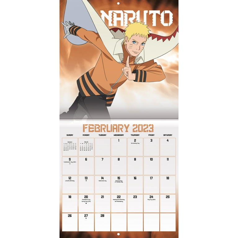 Trends International 2023 Boruto: Naruto Next Generations Wall