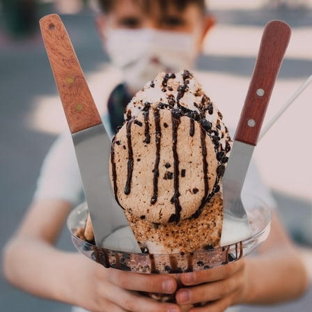 ELAYARD 2Pcs Stainless Steel Ice Cream Shovels with Wooden Handle for Home Use