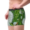 thumbnail image 3 of KLL Dandelion Flower In The Meadow Men's Cotton Boxer Briefs Underwear-X-Large, 3 of 7