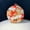 Red, variant on Womens Evening Bag Clutch Purse Luxury Handbag Embroidery Wedding Bag Crane-Print Small Round Evening Bag,Blue