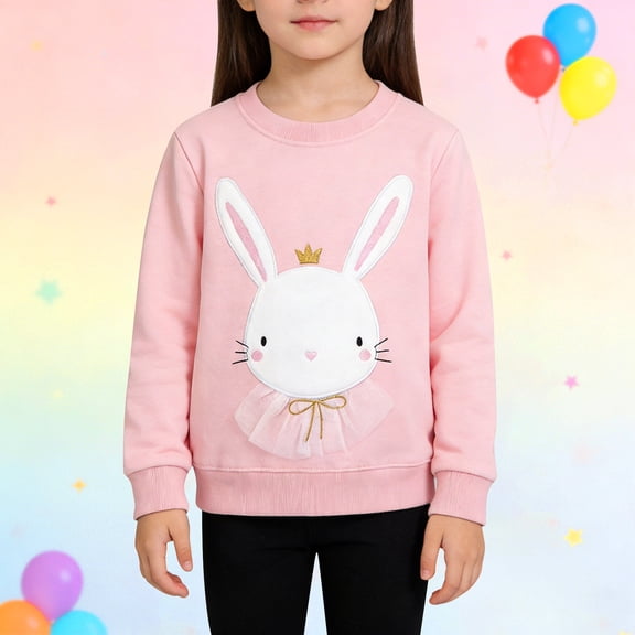 XIMIN Toddler Baby Girl Boy Easter Sweatshirt, Bunny Embroidery Round Neck Long Sleeve Pullover Top, Fall Casual Clothes