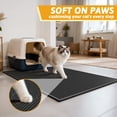 thumbnail image 4 of Alfombrilla de arena para gatos Pieviev, impermeable, a prueba de orina, 4 of 7