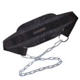 thumbnail image 2 of FLhrweasw Equipo Fitness Dip Belt Levantamiento Pesas Cuerpo Cintura, 2 of 8