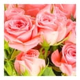 thumbnail image 2 of Bouquet mini rosas premium, 2 of 4